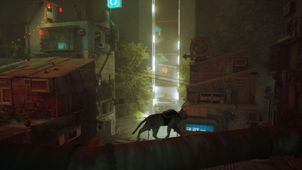 Stray 游戏画面