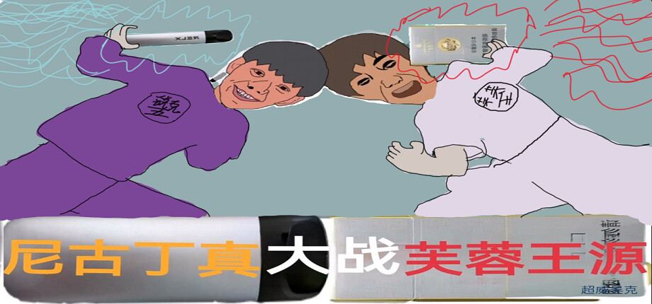 尼古丁大战芙兰王 游戏画面